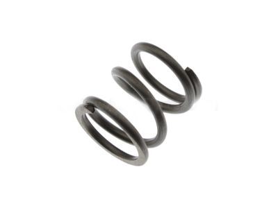Buick 7815185 Bearing Spring