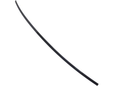 Buick 22935303 Roof Molding