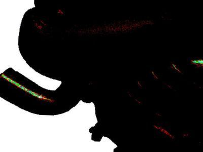 Chevy Corvette Water Pump - 12527739