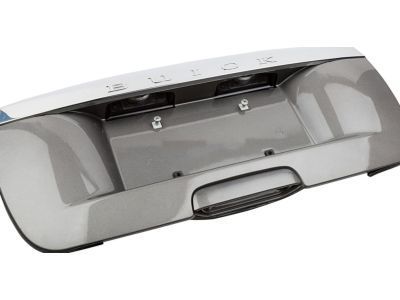 Buick Tailgate Handle - 15132039