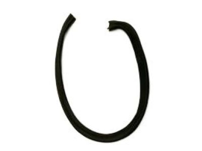 Pontiac Weather Strip - 88970793
