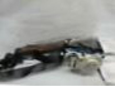 GMC Sierra 2500 HD Seat Belt - 19351664