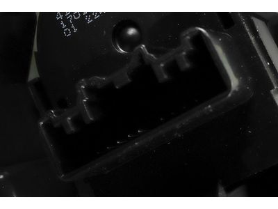 42729300 GM Trim, Front Door Trim Product Photo 4 of 5