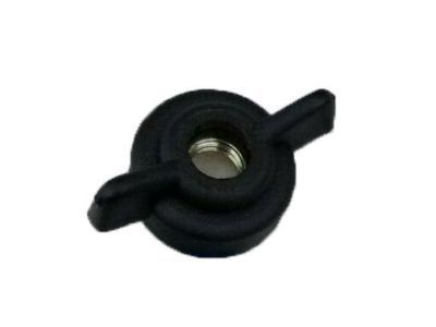 GM 10165652 Air Cleaner Nut