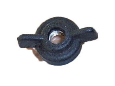 GM 10165652 Air Cleaner Nut