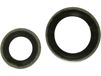 Chevy 10313109 Seal Kit
