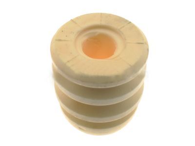 GM 10386222 Auxiliary Spring, Rear