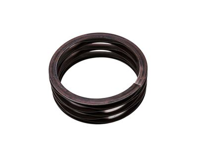 19208357 GM Spring, Transfer Case Product Photo 1 of 1