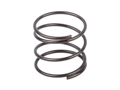 GM 12648429 Spring, Engine Valve Rocker Arm Shaft 12648429 GM Spring, Engine Valve Rocker Arm Shaft Product Photo 1 of 1