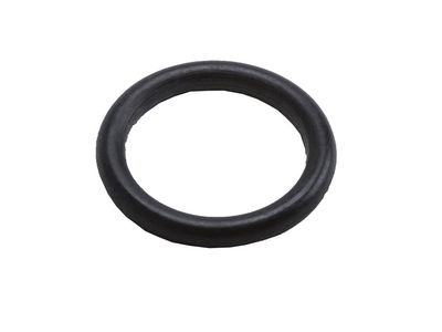 GM 88982042 Washer, Armrest 88982042 GM Washer, Armrest Product Photo 1 of 1