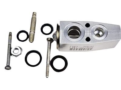 Buick A/C Expansion Valve - 52495729