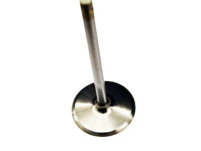 Chevy Intake Valve - 12645279