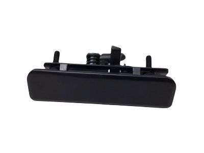 Chevy Astro Door Handle - 12381253