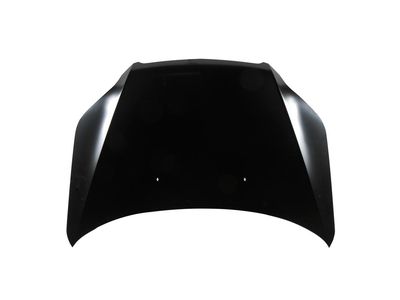 GM 95190194 Hood, Panel 95190194 GM Hood, Panel Product Photo 1 of 1