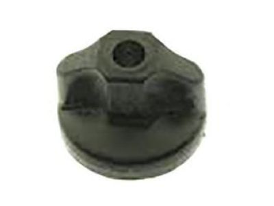 GM 20739862 Extension Nut, Plastic