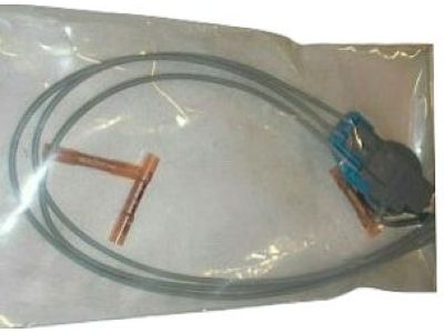 Pontiac Firebird Light Socket - 12141493