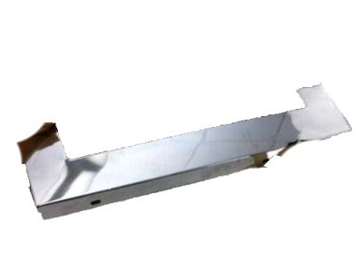 Chevy 14021469 Front Molding
