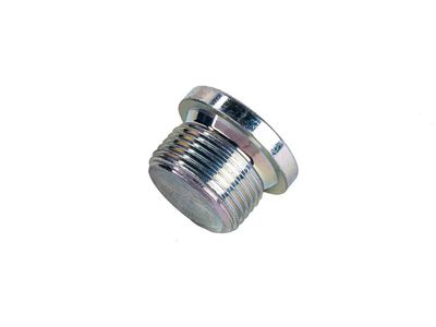 GM 55567756 Plug, Engine Oil Distribution, Front 55567756 GM Plug, Engine Oil Distribution, Front Product Photo 1 of 2