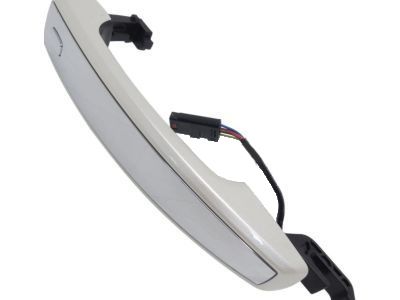 Cadillac Door Handle - 13577716