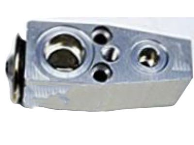 Buick A/C Expansion Valve - 13313727