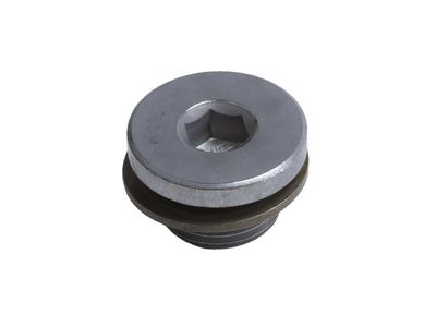 55491550 GM Plug, Engine Oil Filler Tube Product Photo 2 of 2