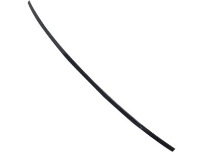 Buick 22935304 Roof Molding