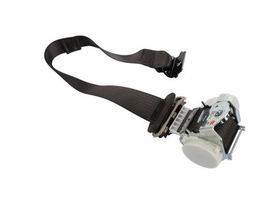 19356201 GM Belt Kit, Seat Belt Product Photo 2 of 2