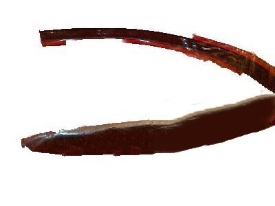 GMC Sierra 2500 Door Moldings - 15001878