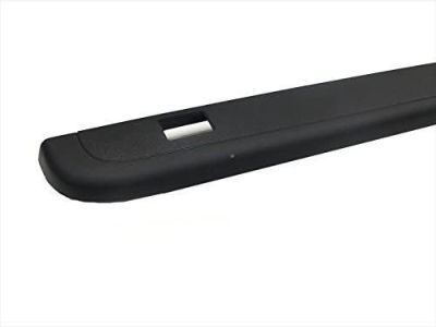 GM 15932236 Body Side Molding, Black, Upper Passenger Side