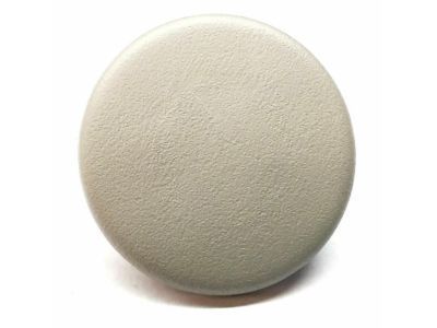 Chevy 15279691 CAP,REAR SEAT ACTUATOR FINISH COVER BOLT(TITANIUM)