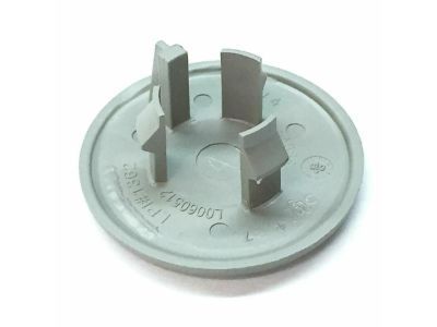 Chevy 15279691 CAP,REAR SEAT ACTUATOR FINISH COVER BOLT(TITANIUM)