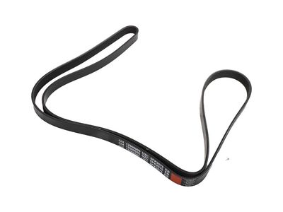 12569505 GM Belt, Drive Product Photo 3 of 3