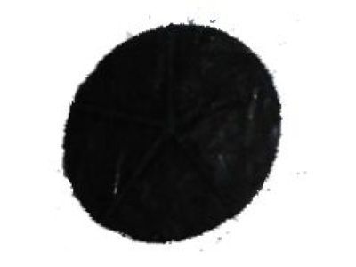 GM 25867216 Leaf Spring Insert, Rear