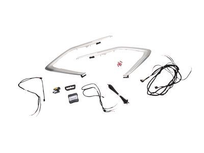 Chevy 84043875 LAMP PKG,AMBIENT LIGHTING(INCLUDES 2-11)(STRUCTURA)(INSTALL 1.50)(2.21 KGS)