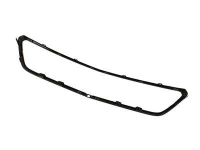 42804834 GM Grille, Radiator Grille Product Photo 1 of 2