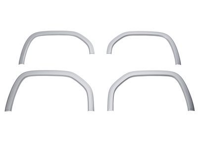 Chevy 84875920 MOLDING PKG,REAR WHEEL OPENING & FRONT FENDER(INCLUDES 2-9)(SWITCHBLADE SILVER METAL)(INSTALL 0.40)(4.9035 KGS)