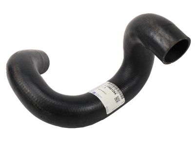 GM 15691294 Hose, Radiator Outlet (Lower) 15691294 GM Hose, Radiator Outlet (Lower) Product Photo 1 of 2