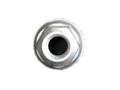 GM 11609767 Antenna Assembly Nut