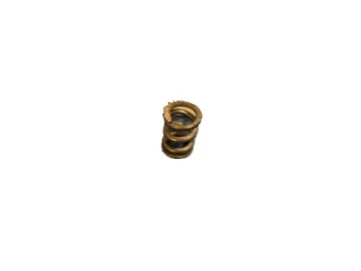 GM 587575 Front Pipe Spring GM 587575 Front Pipe Spring