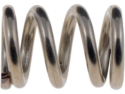 GM 587575 Front Pipe Spring