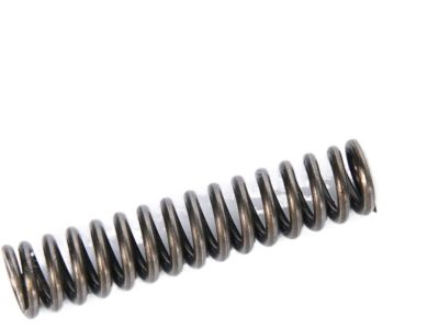 GM 89059437 Spring, Transmission Shift Shaft Detent
