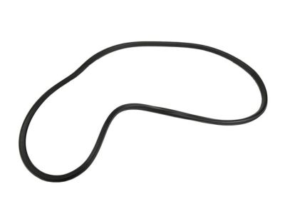 Chevy Weather Strip - 20993866