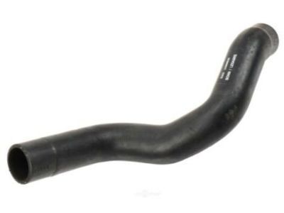 2005 Buick LeSabre Radiator Hose - 25666930