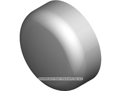 GM 12566290 Plug, Cylinder Head Valve Seat 12566290 GM Plug, Cylinder Head Valve Seat Product Photo 1 of 1