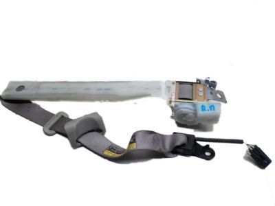 Buick Seat Belt - 19177471