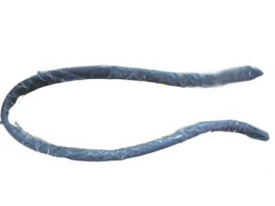 Buick LaCrosse Door Seal - 20921784