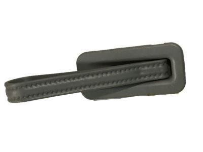 Chevy 10392675 Assist Strap