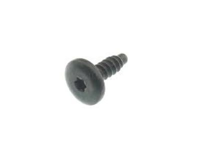 Buick 11611881 Run Weatherstrip Screw