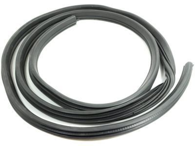Hummer H3 Weather Strip - 25931894
