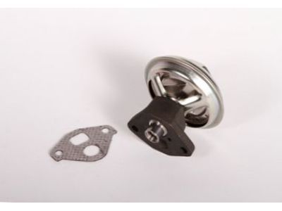 Buick Roadmaster EGR Filter - 19210659